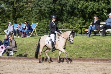 Bild 474 - Pony Akademie Turnier